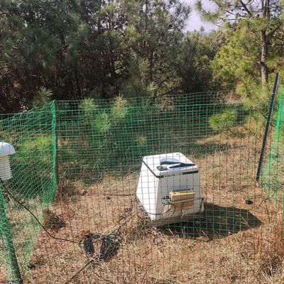 buy Sistema de la predicción de la energía eólica del Lidar del viento del COMM 24VDC Doppler online manufacture